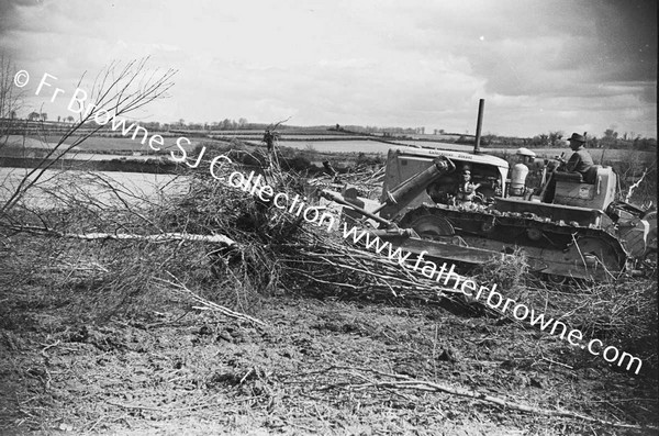 BULLDOZER  CLEARING SCRUB AND TREES